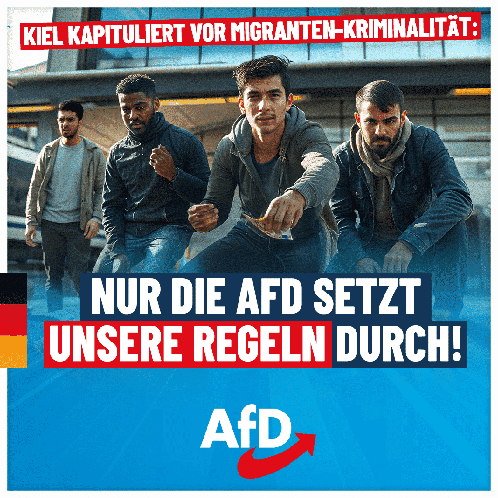 Bild: AfD Deutschland