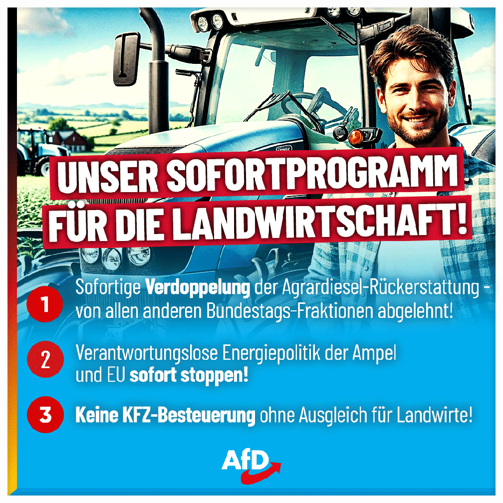 Bild: AfD Deutschland