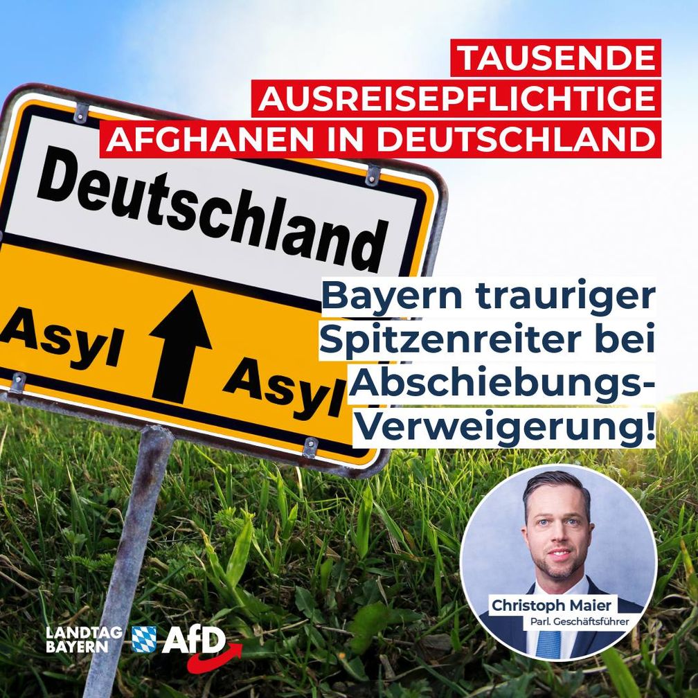 Bild: AfD Deutschland