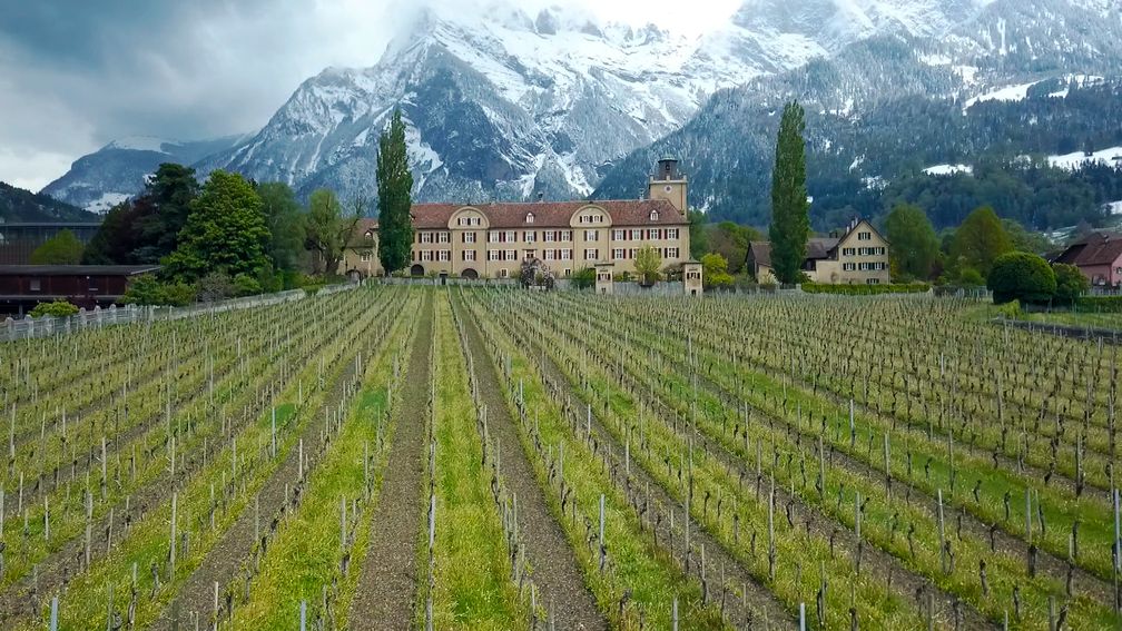 Zum Bündner Schloss Salenegg gehört das grösste Weingut Europas. Bild: "obs/3sat/ZDF/SRF/NZZ Format"