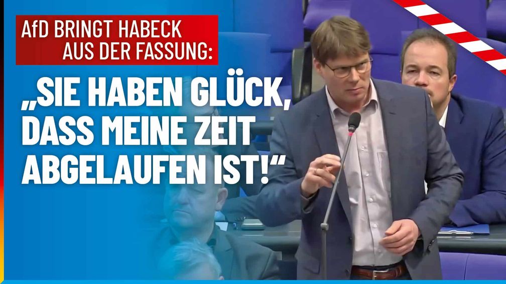 Bild: AfD Deutschland