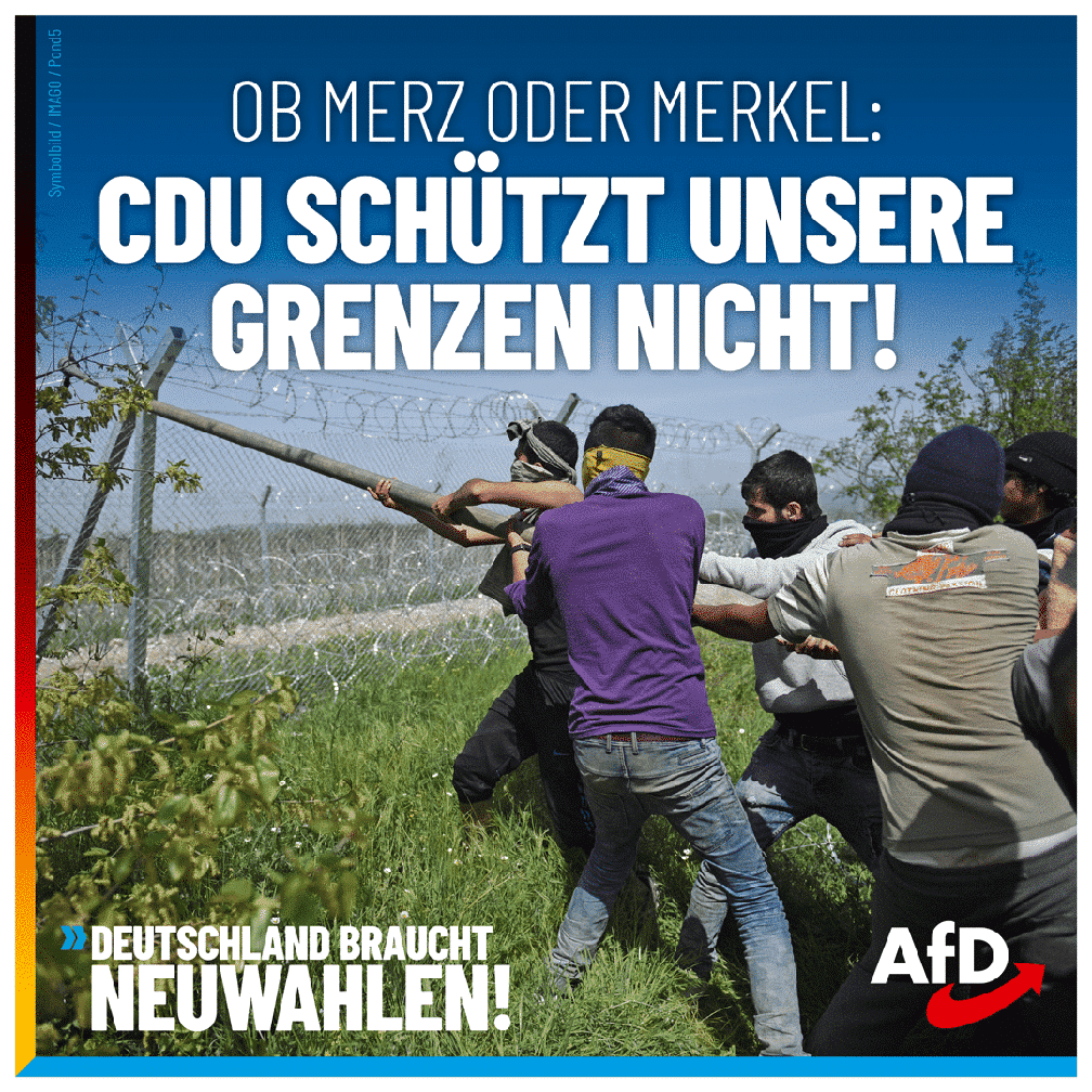 Bild: AfD Deutschland