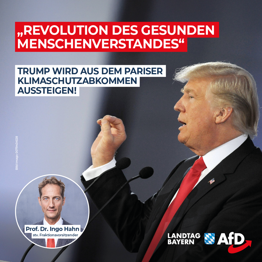 Bild: AfD Deutschland