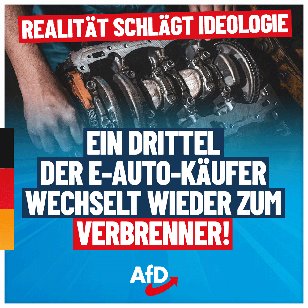 Bild: AfD Deutschland