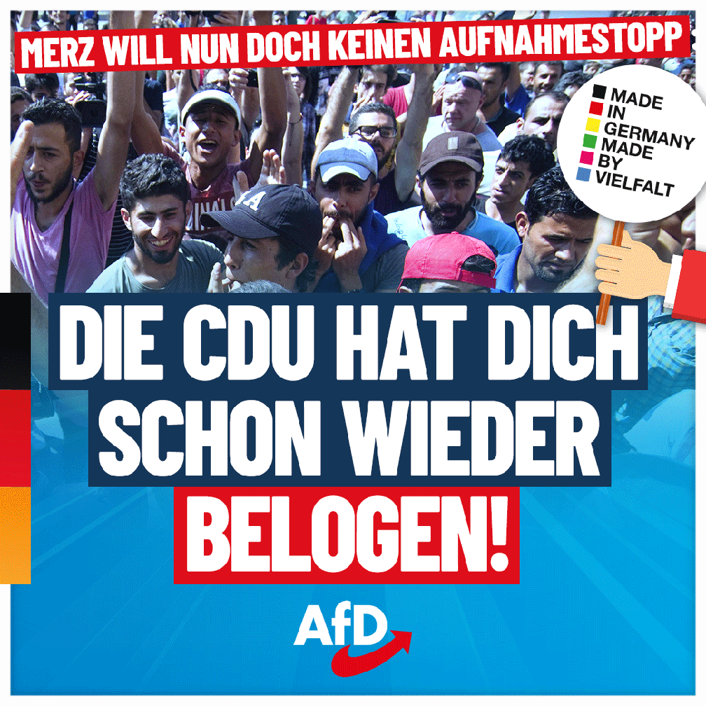 Bild: AfD Deutschland