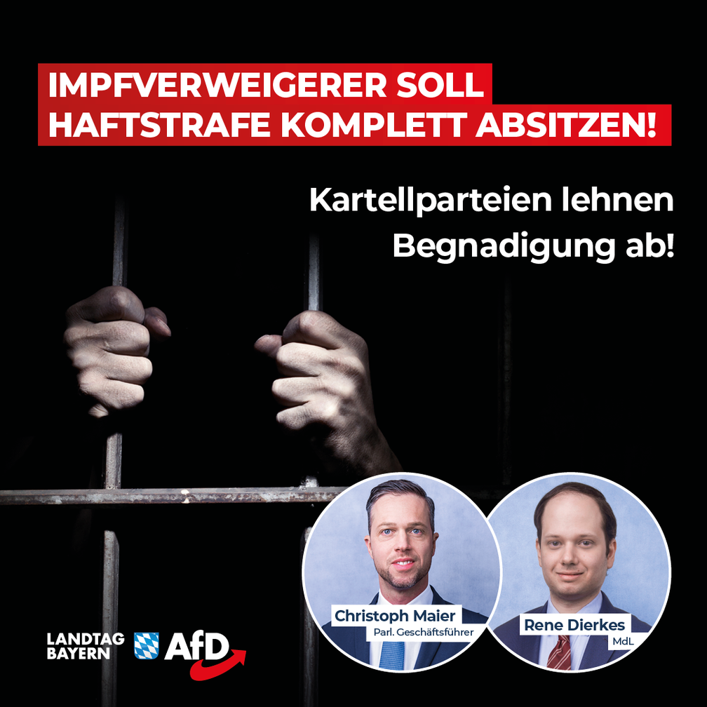 Bild: AfD Deutschland