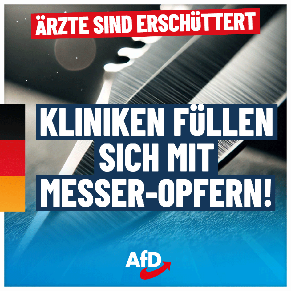 Bild: AfD Deutschland