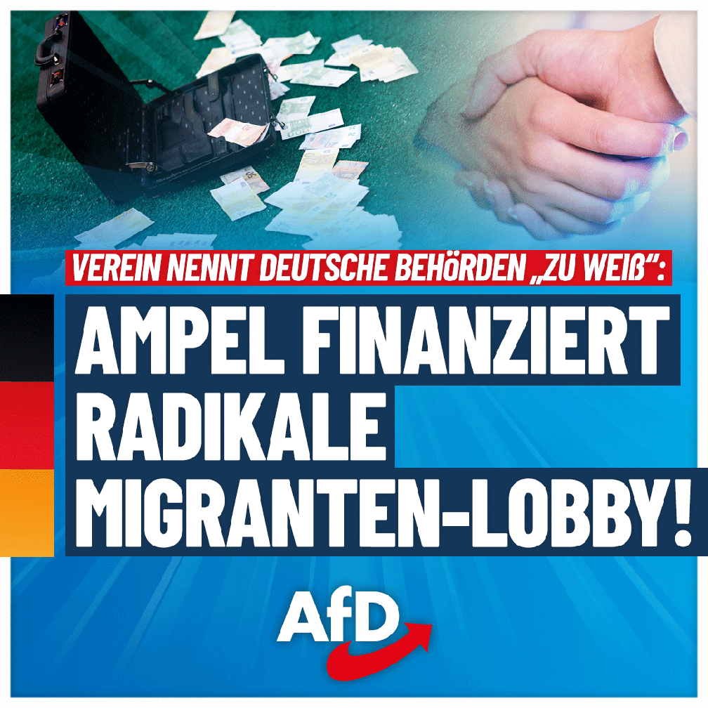 Bild: AfD Deutschland