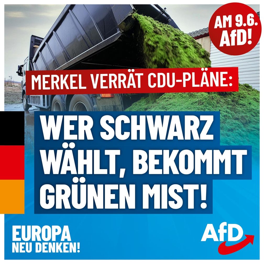 Bild: AfD Deutschland