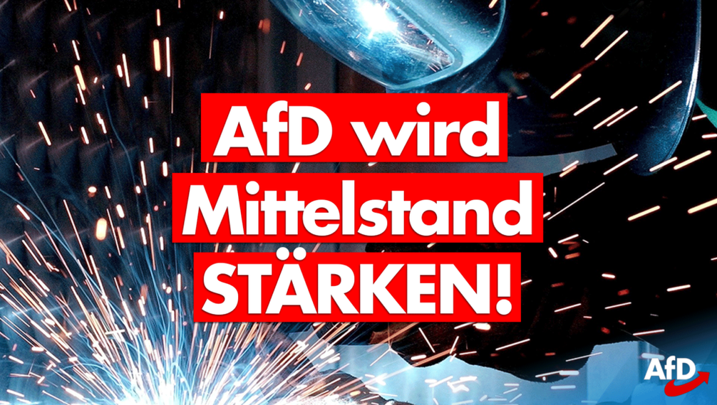 Bild: AfD Deutschland