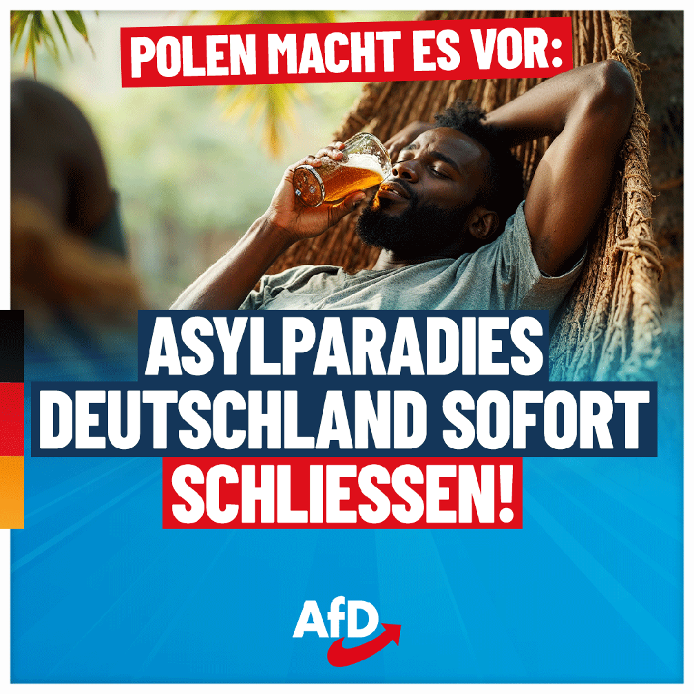 Bild: AfD Deutschland