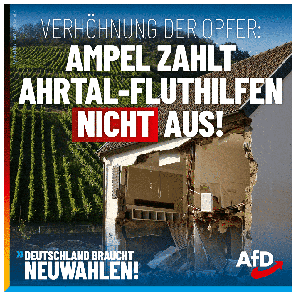 Bild: AfD Deutschland