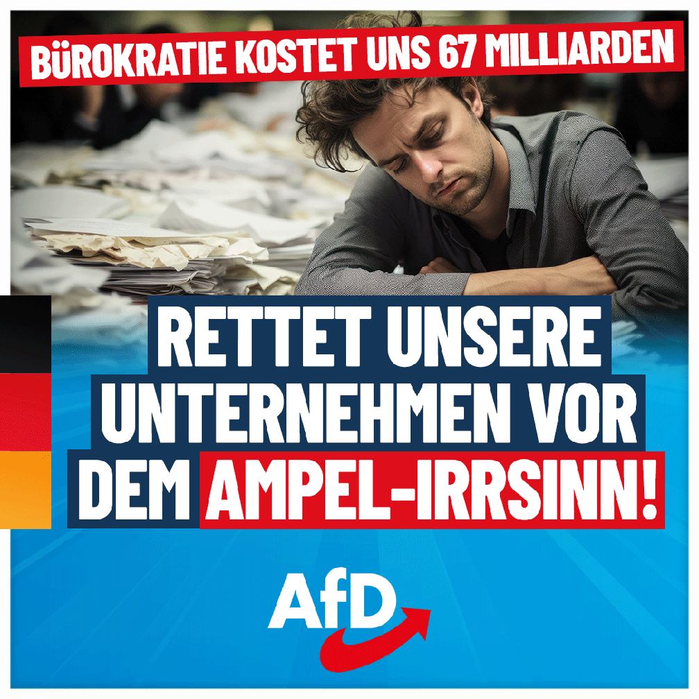 Bild: AfD Deutschland