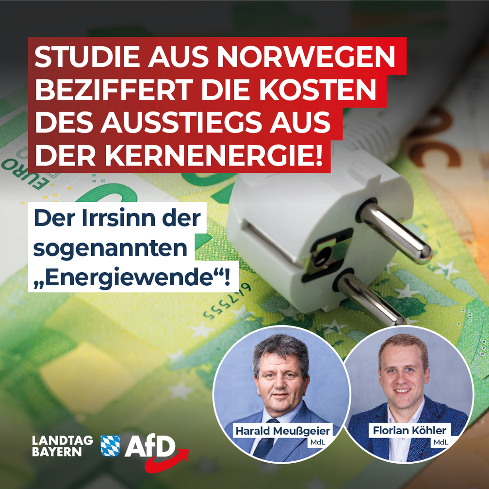 Bild: AfD Deutschland