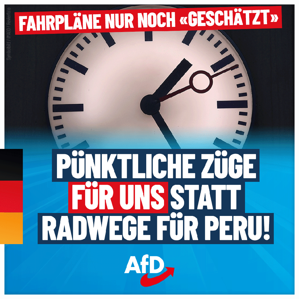 Bild: AfD Deutschland