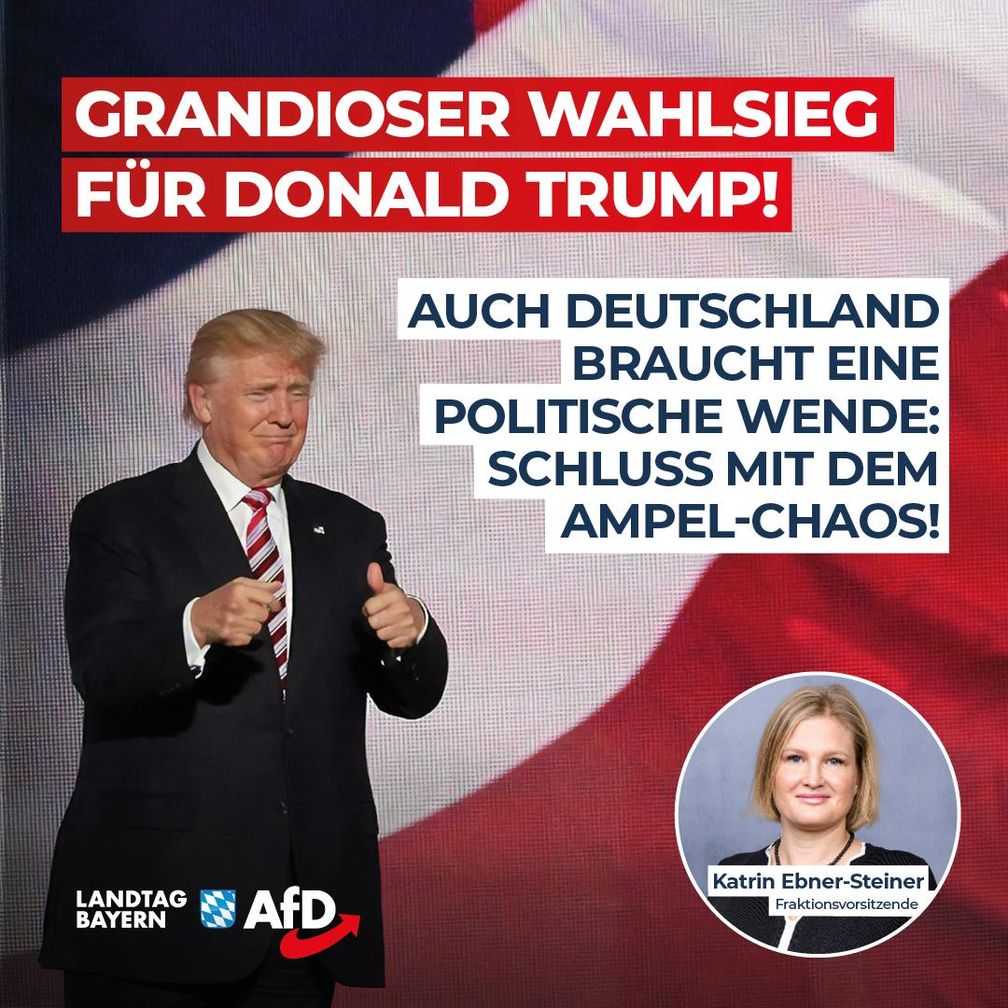 Bild: AfD Deutschland