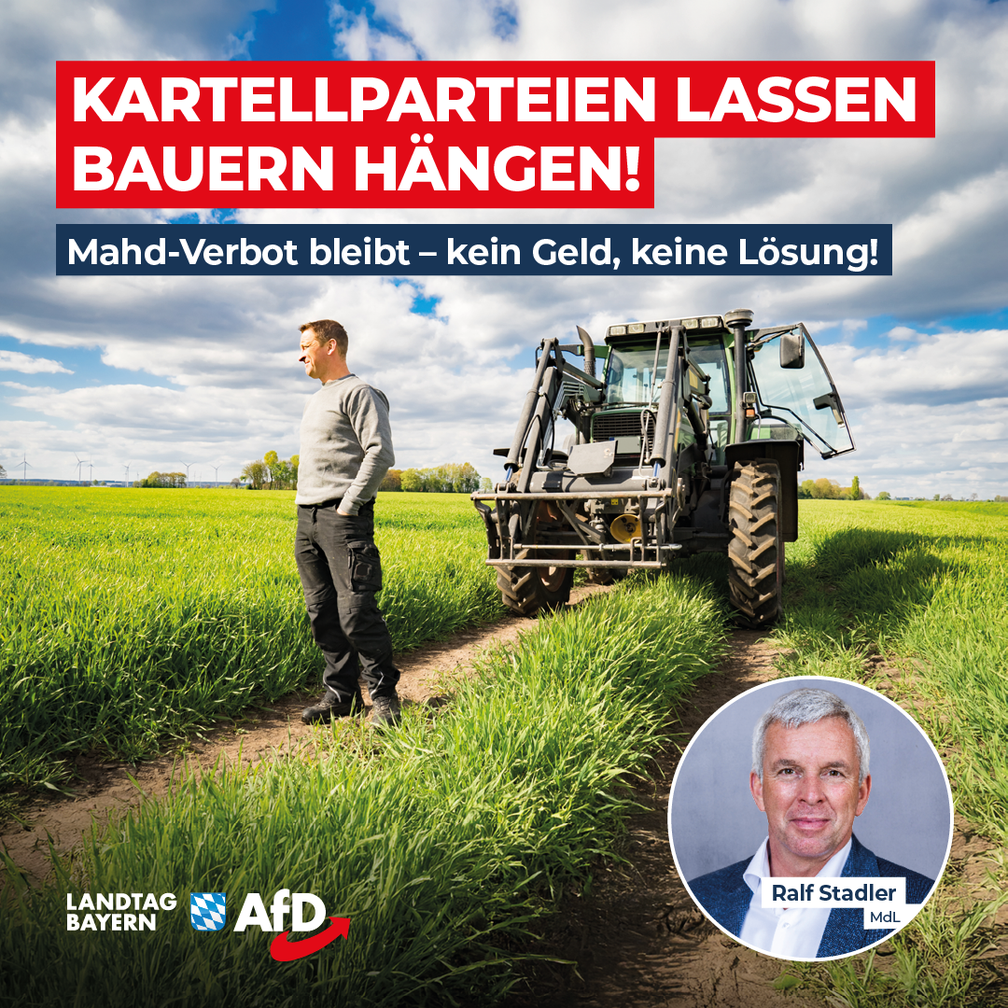 Bild: AfD Deutschland