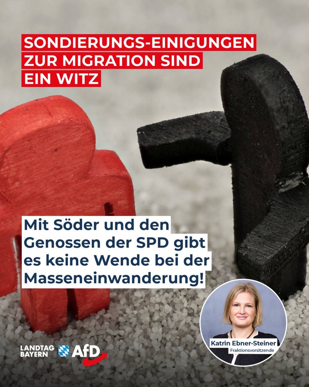 Bild: AfD Deutschland