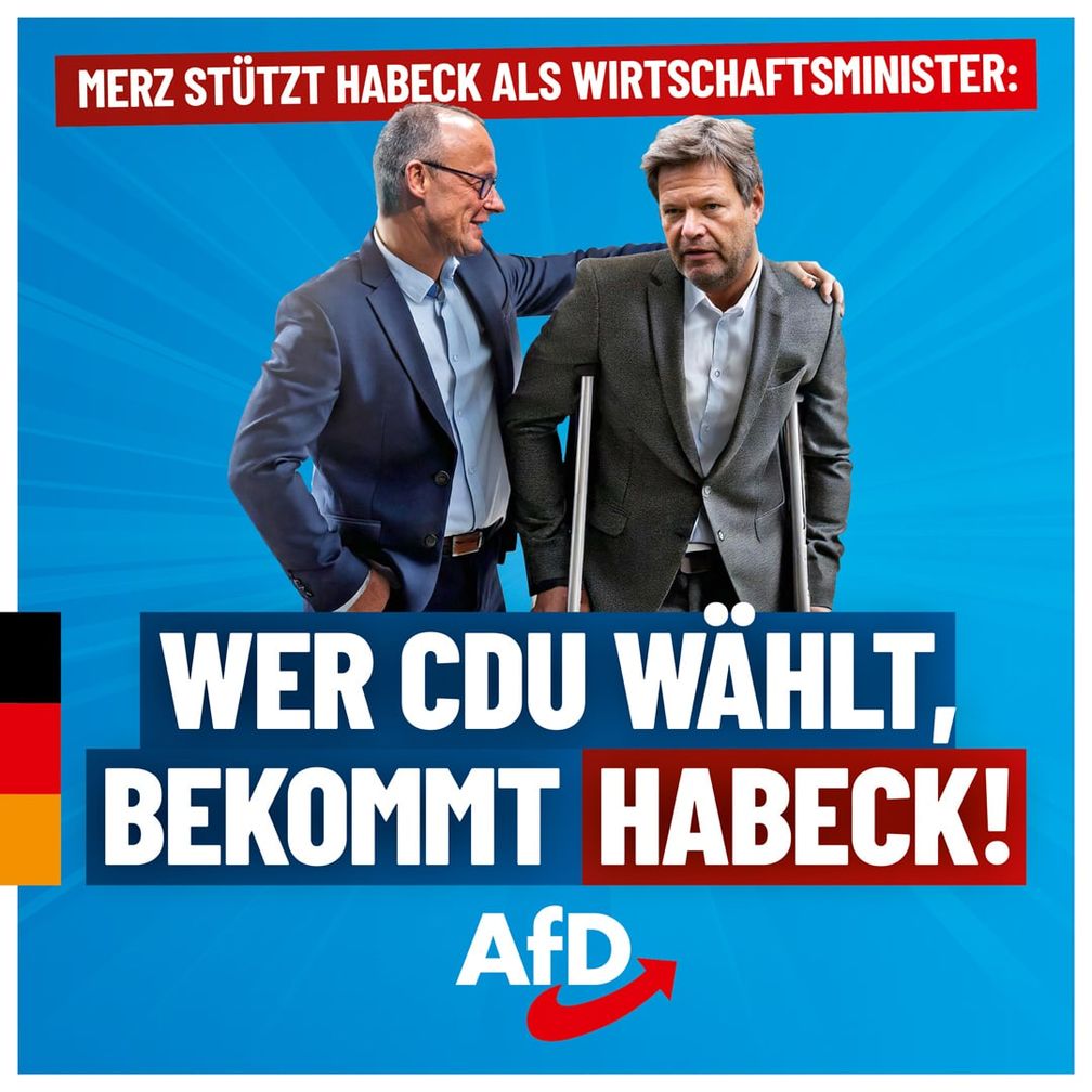 Bild: AfD Deutschland