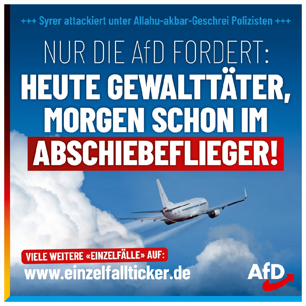 Bild: AfD Deutschland