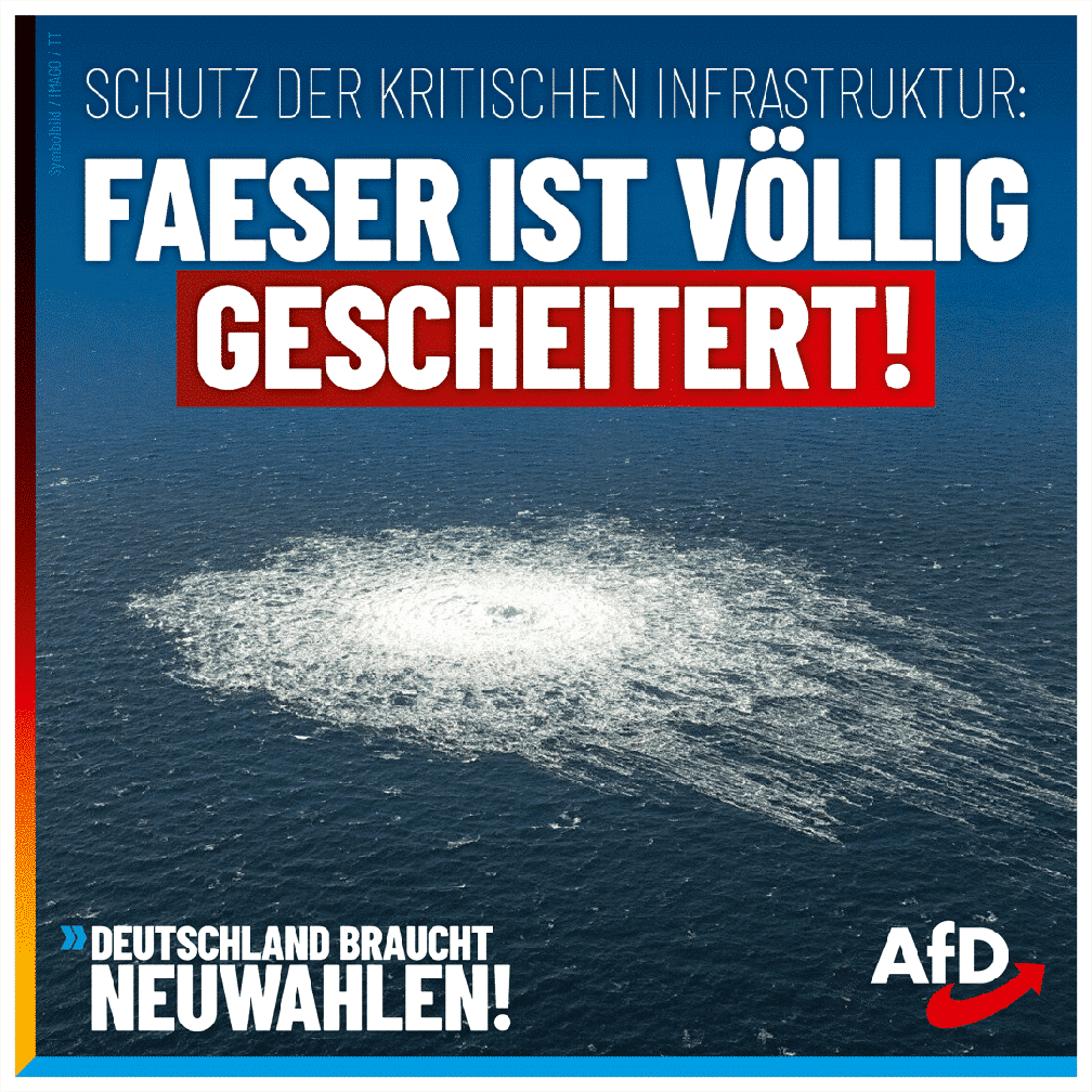 Bild: AfD Deutschland