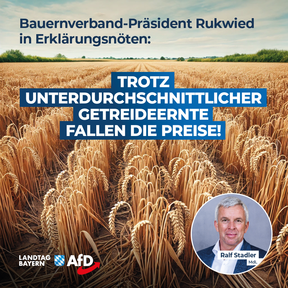 Bild: AfD Deutschland