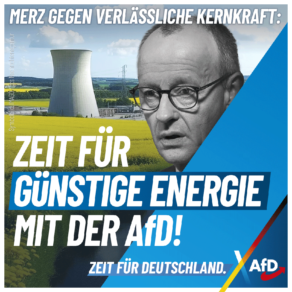 Bild: AfD Deutschland