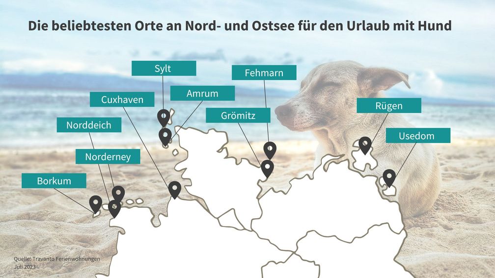 Infografik - Die beliebtesten Orte an Nord- und Ostsee für den Urlaub mit Hund