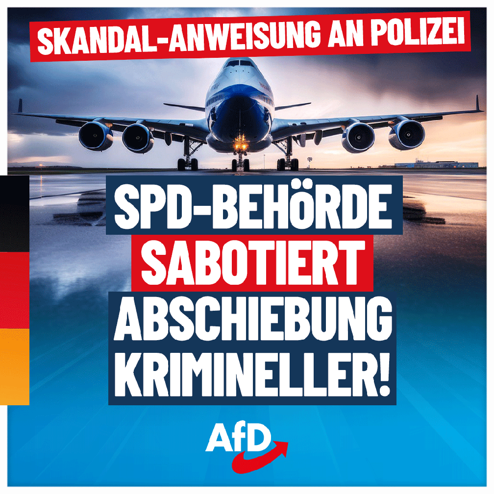 Bild: AfD Deutschland