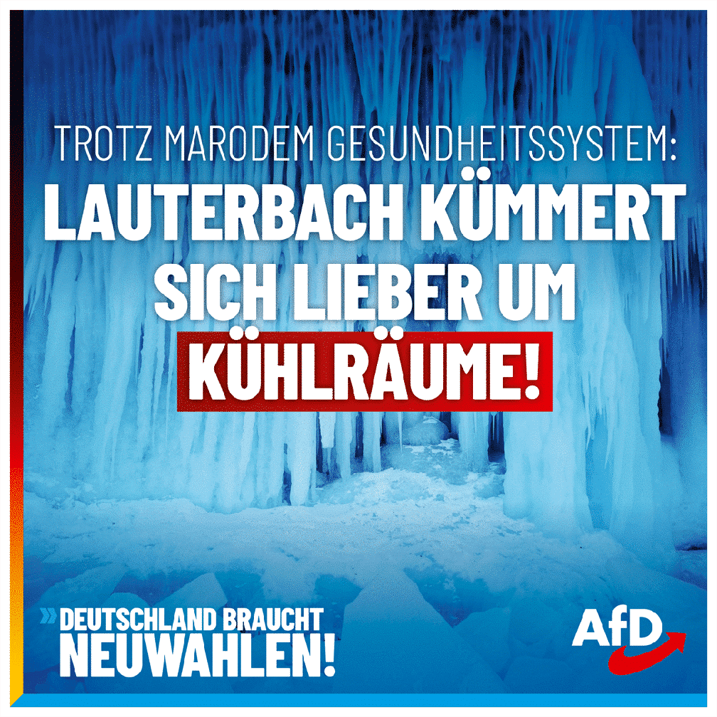 Bild: AfD Deutschland