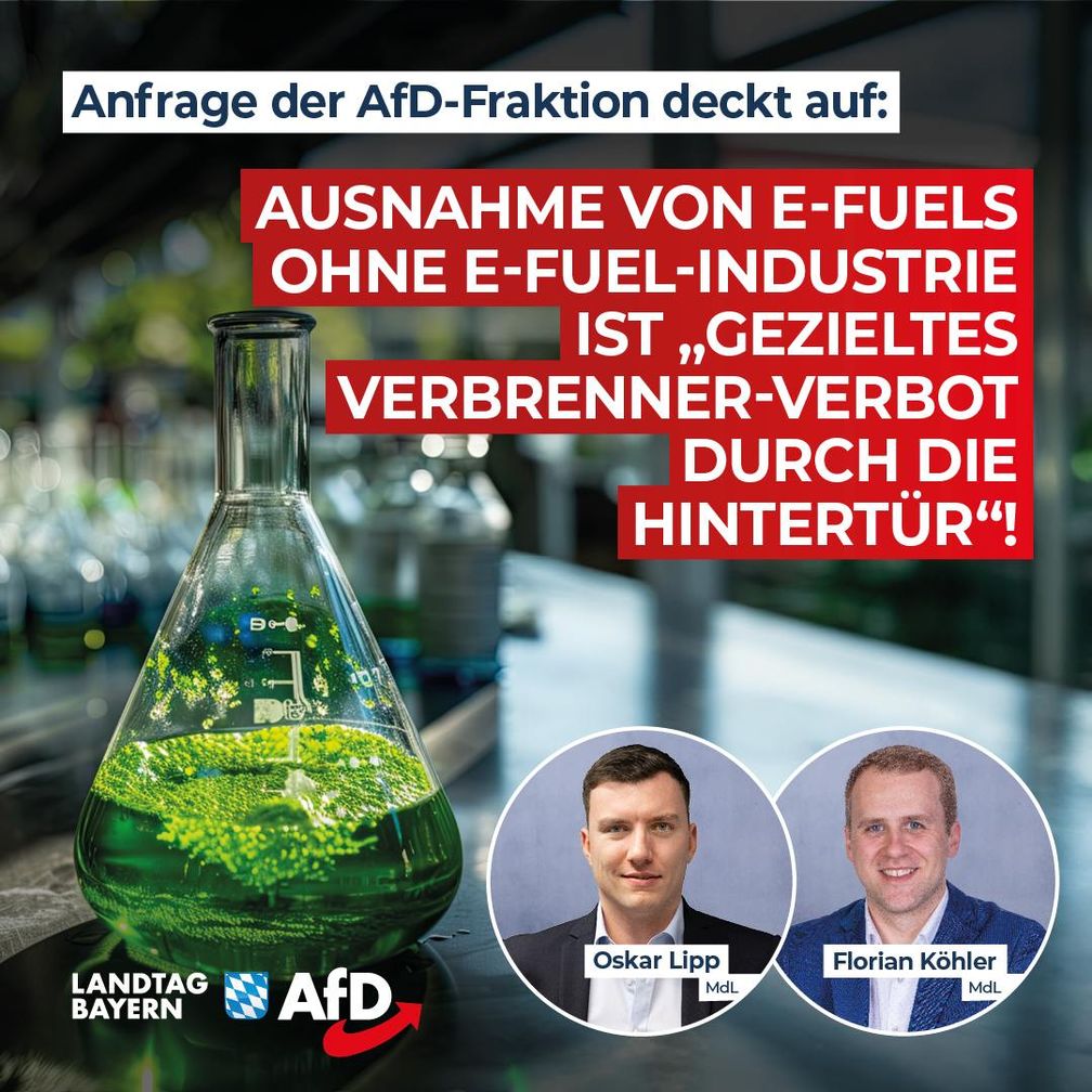 Bild: AfD Deutschland