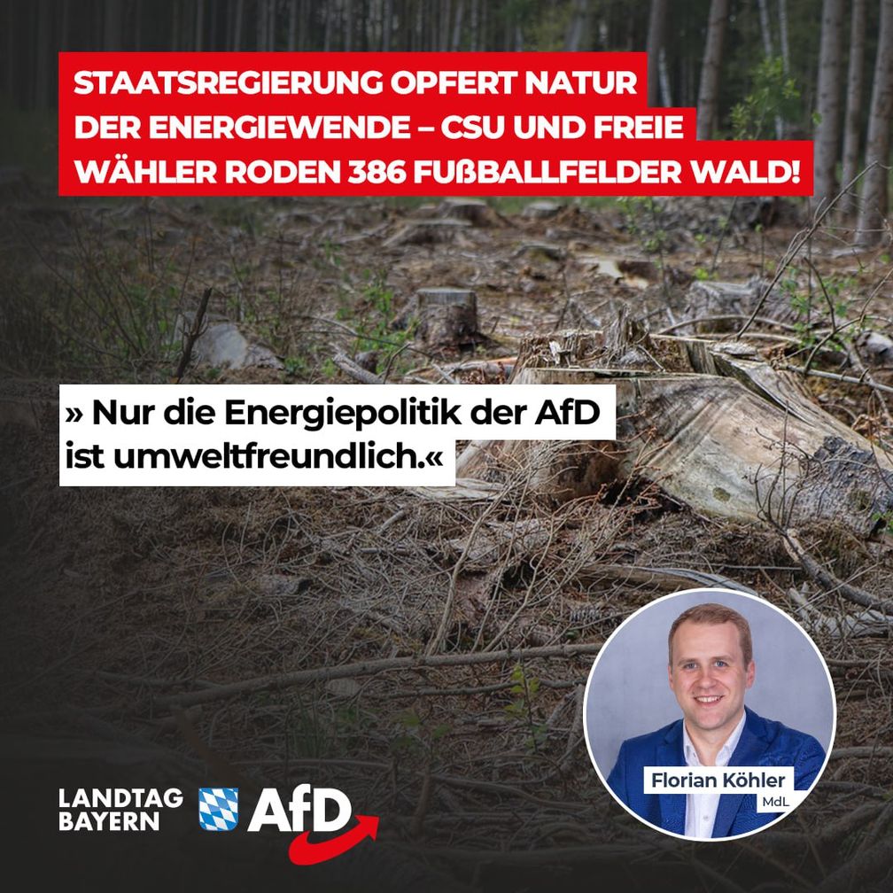 Bild: AfD Deutschland