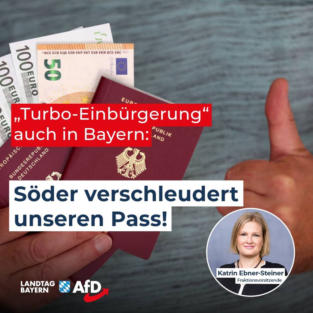 Bild: AfD Deutschland