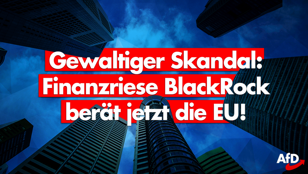 Bild: AfD Deutschland