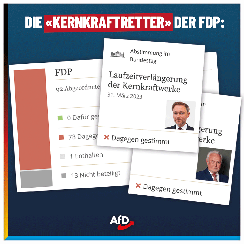 Bild: AfD Deutschland