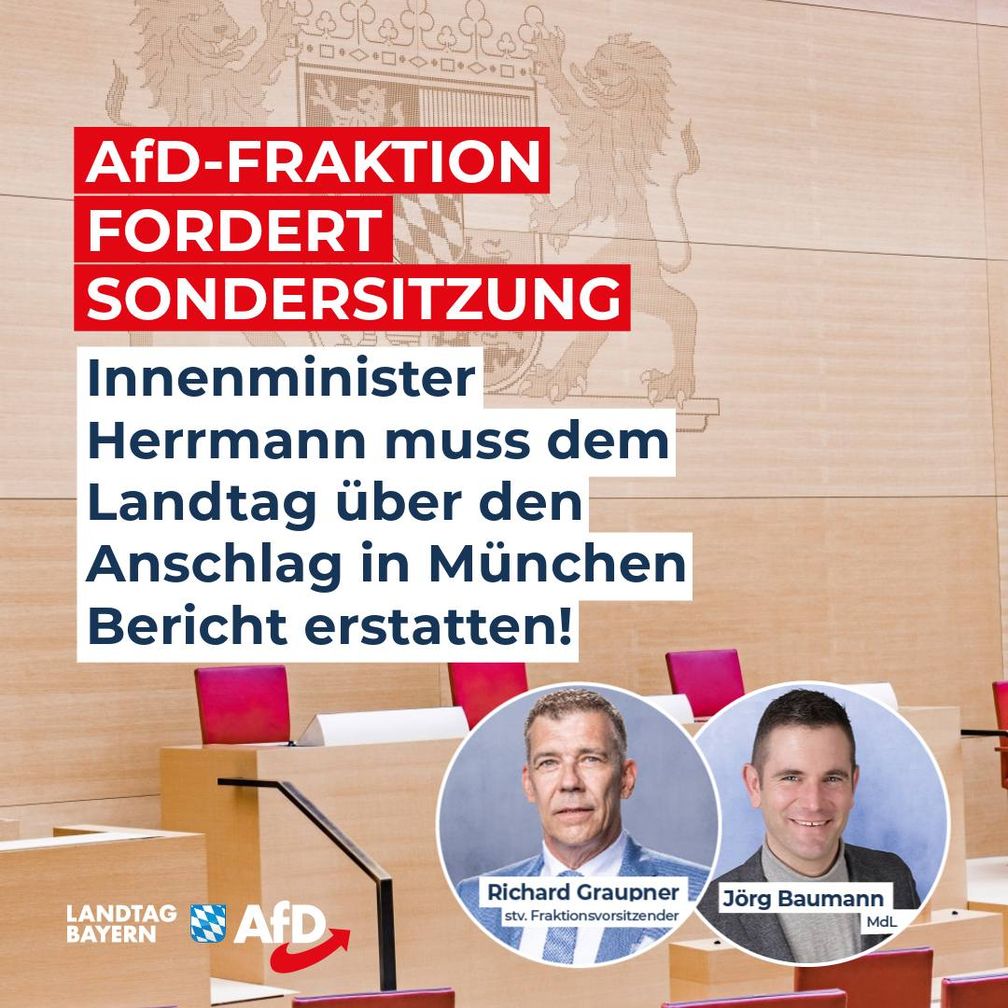 Bild: AfD Deutschland