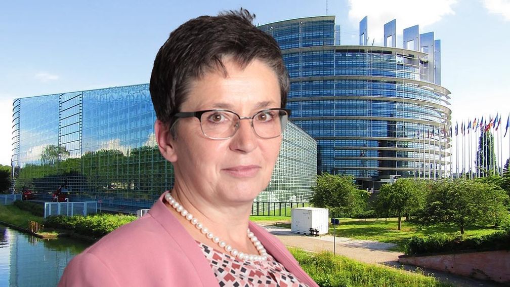 Dr. Sylvia Limmer (2024) Bild: AfD Deutschland