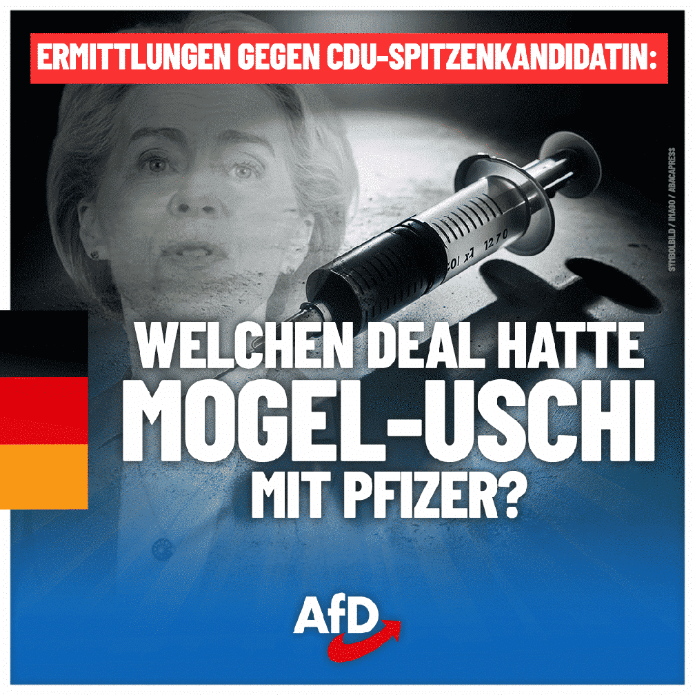 Bild: AfD Deutschland