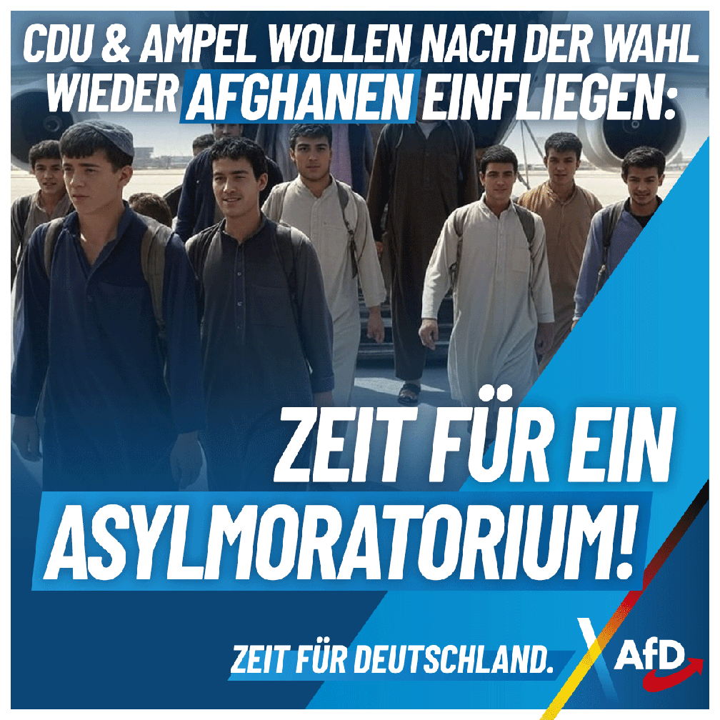 Bild: AfD Deutschland