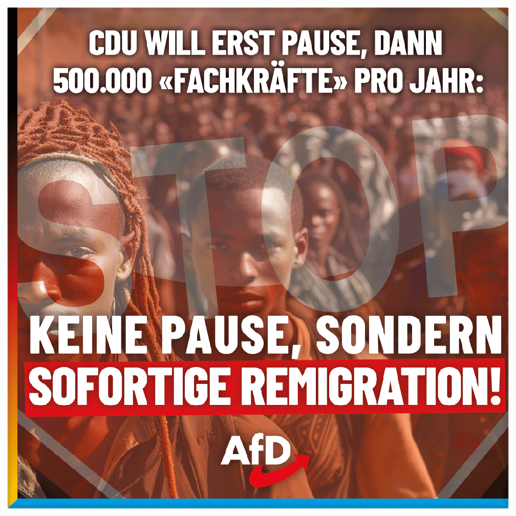 Bild: AfD Deutschland