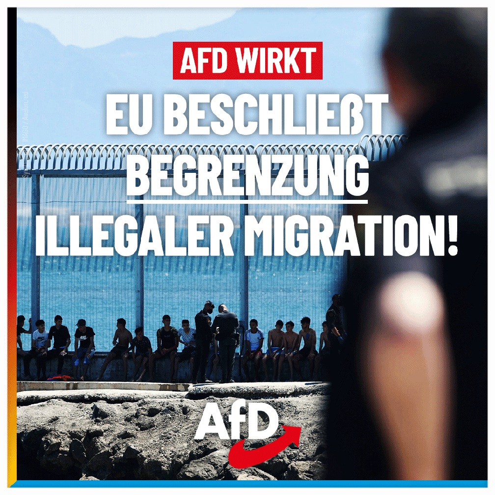 Bild: AfD Deutschland