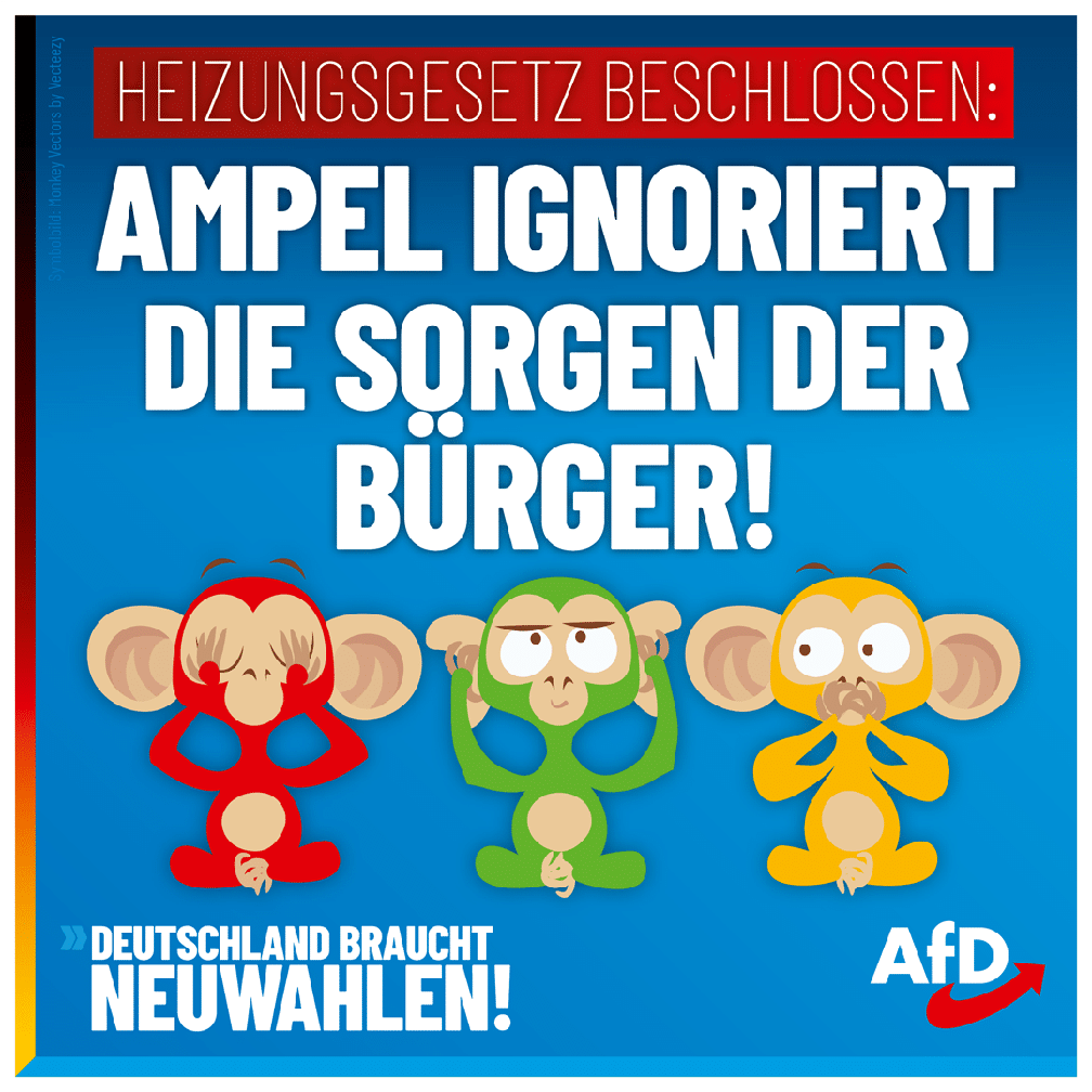 Bild: AfD Deutschland