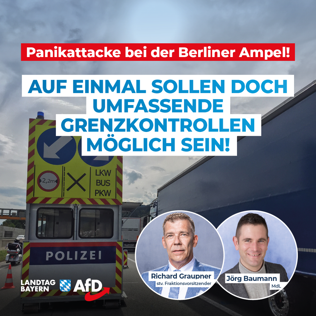 Bild: AfD Deutschland