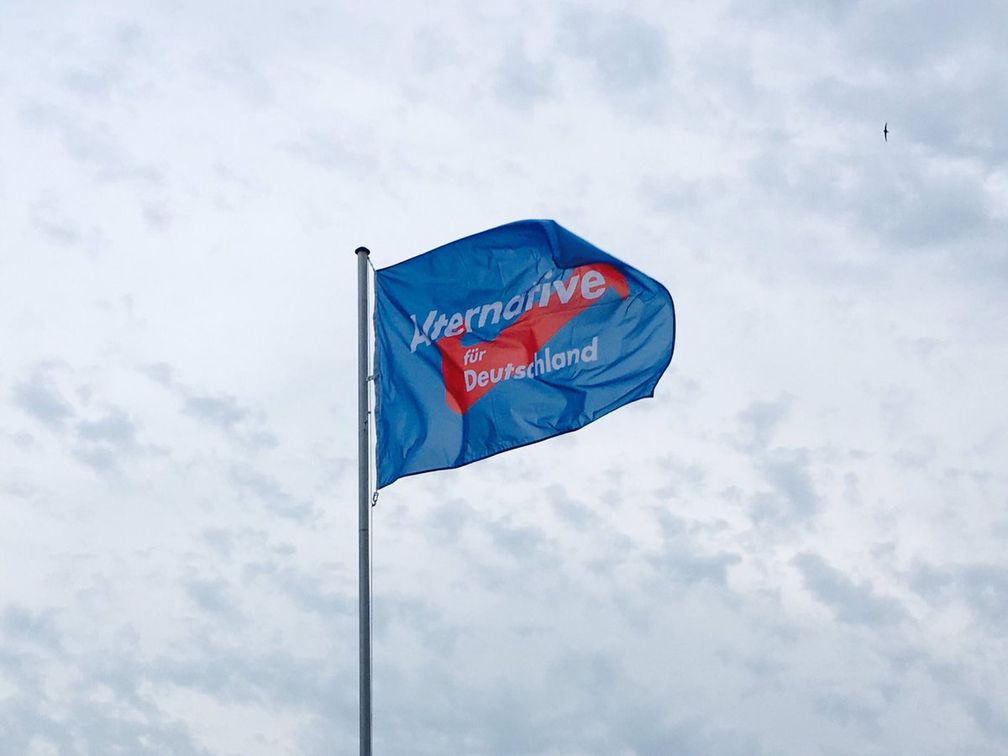 Wahlplakat der Alternative für Deutschland Flagge (AfD)