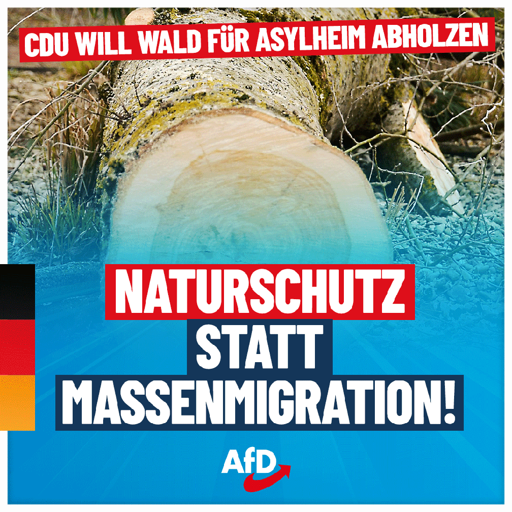 Bild: AfD Deutschland