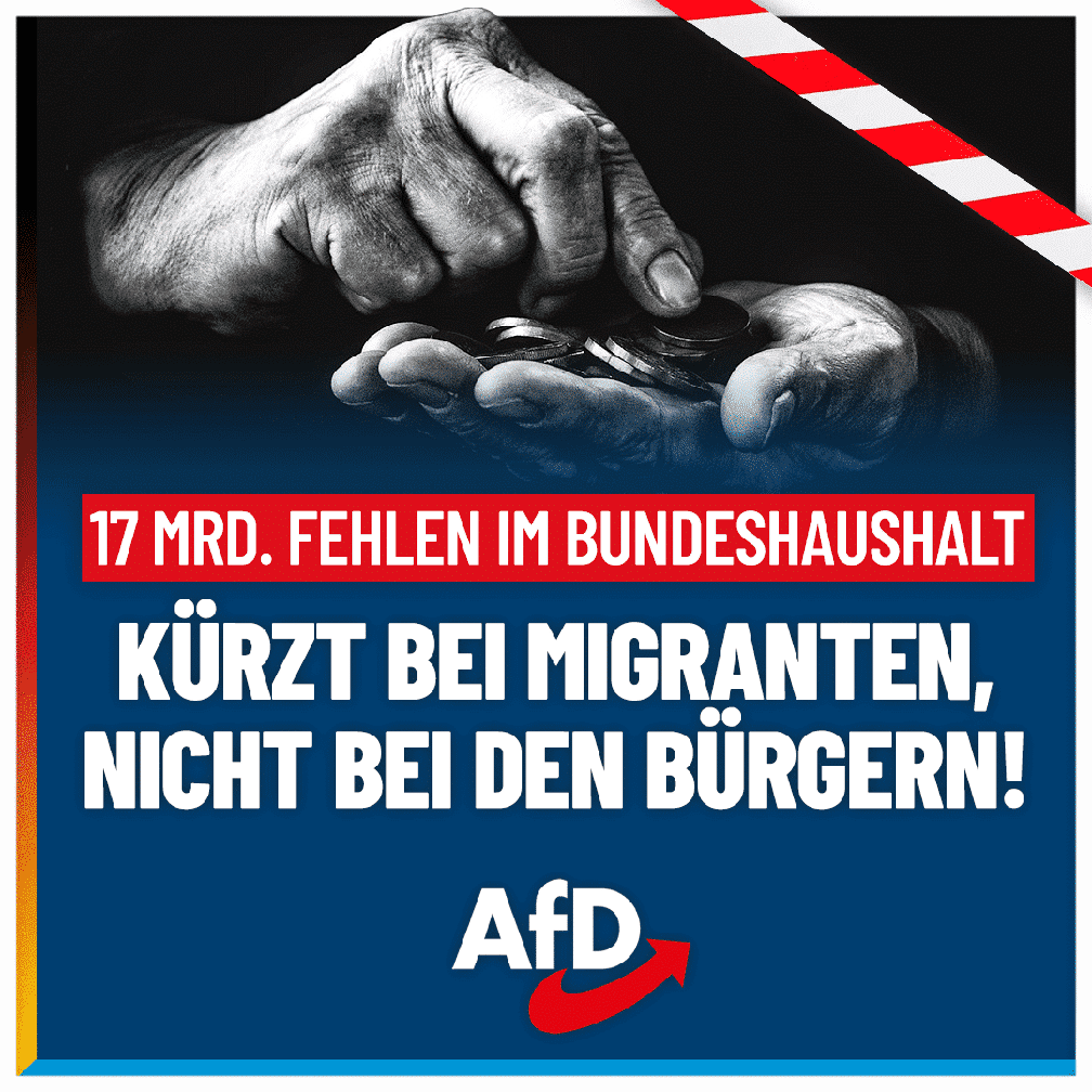 Bild: AfD Deutschland