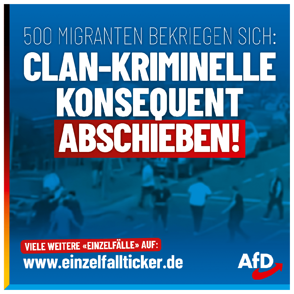 Bild: AfD Deutschland