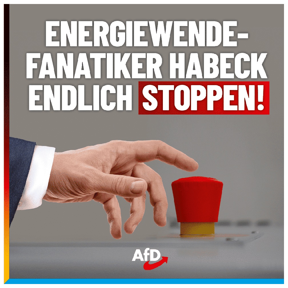 Bild: AfD Deutschland