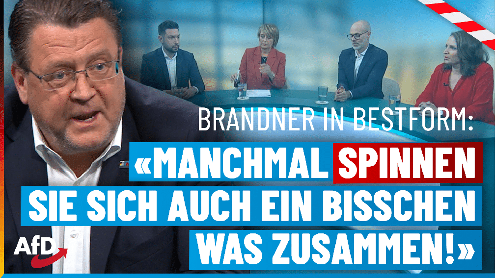 Bild: AfD Deutschland