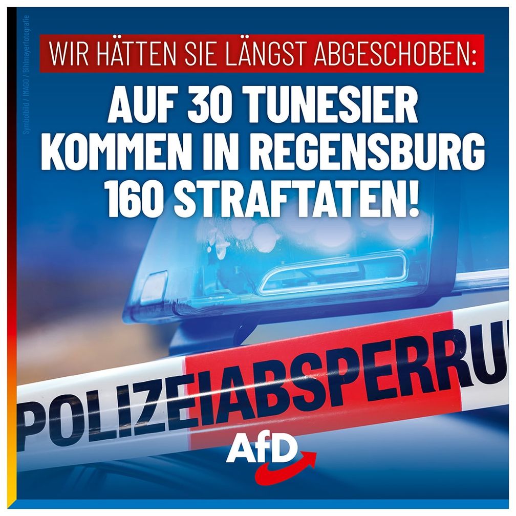 Bild: AfD Deutschland